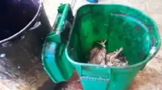 معسكر :قتيلان وأربعة جرحى في حادث مرور بالطريق السيار