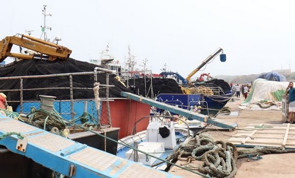 صيد بحري: إعطاء إشارة إطلاق حملة صيد التونة الحمراء غدا بولاية تيبازة