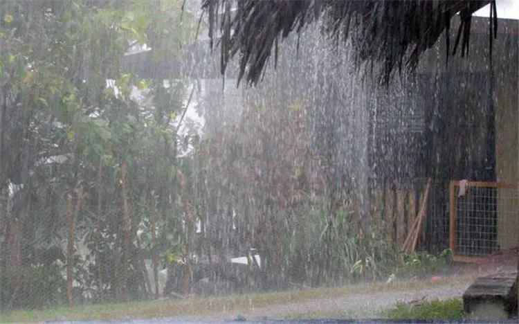 Fortes pluies dans plusieurs wilayas