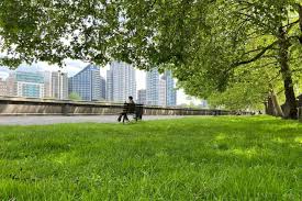 Planète (Europe) - Touche pas à ma pelouse ! Pour protéger les insectes, le Royaume-Uni remballe les tondeuses