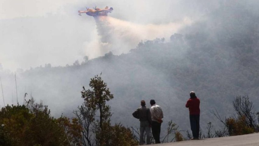 Dossier / LA FORÊT ALGÉRIENNE FACE AUX DÉFIS DES INCENDIES ESTIVAUX III. et fin : Que nous réserve l'été 2024 ?