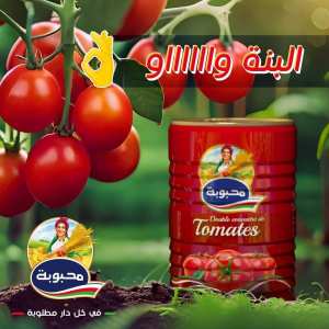 Mahbouba Double concentré de tomates طماطم