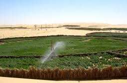 Planète (Algérie/Afrique) - Entre les besoins de l’agriculture et la préservation des ressources: Pour une utilisation responsable de l’eau dans le Sud