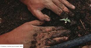 Planète - Jardiner est bon pour la santé, c'est scientifiquement prouvé