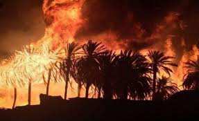 Algérie (Ouargla) - Journée d’étude sur les feux de palmeraie:  Appel à la vigilance et l’implication communautaire