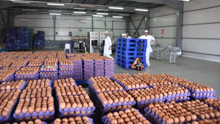 يوسف شرفة يعاين مستثمرة 