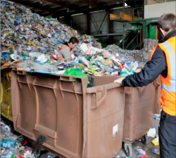 Les défis écologiques de l'été