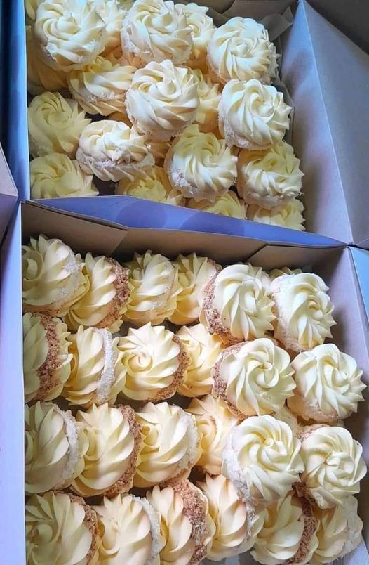 قاطو زمان ❤️ مول الشاش