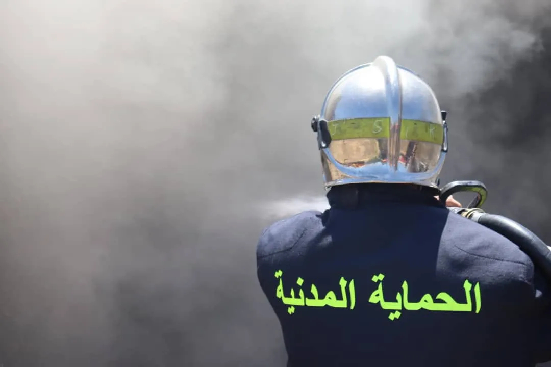 Des feux de forêts dans Huit wilayas