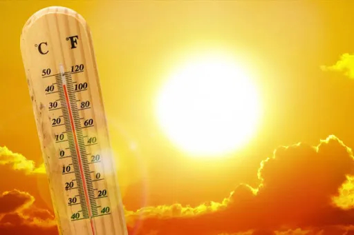 Vague de chaleur dans le sud du pays