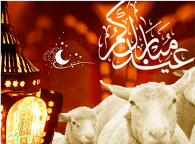 LG Algérie apporte de la joie aux familles nécessiteuses à l'occasion de l'Aïd El-Adha