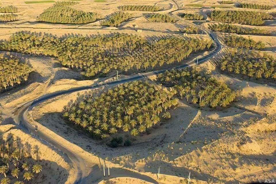 Les ghouts d'El Oued souf, Algérie.