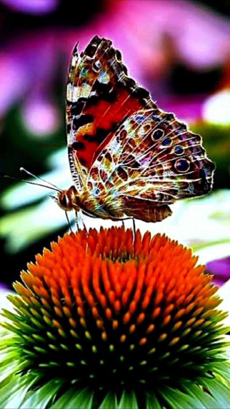 ESPRIT QUE L'UNIVERS