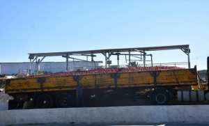 Skikda: coup d'envoi de la campagne nationale de récolte et de transformation de tomates