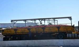 إعطاء إشارة إنطلاق حملة جني و تحويل الطماطم الصناعية من ولاية سكيكدة