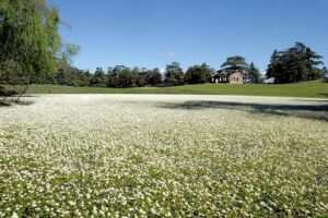Le Parc National d'El Meddad