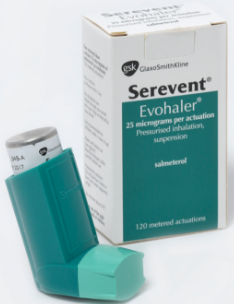 SEREVENT 25µG/ BOUFFEE SUSP.INHAL. FL/120DOSES