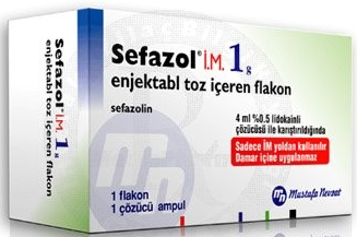 SEFAZOL 1G/FL. DE PDRE. PDRE.SOL.INJ. IM B/1FL. DE LYOPH.+1 AMP. DE 4ML DE SOLV. (LIDOCAINE)