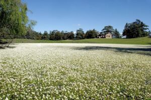Le Parc National d'El Meddad