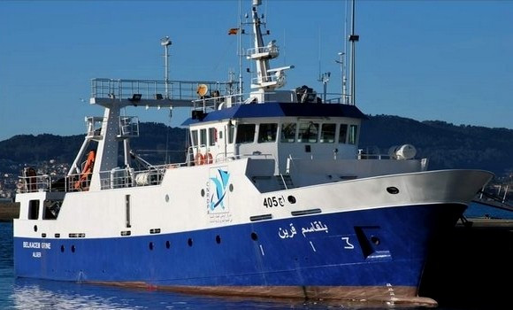 Thon rouge: l'Algérie a pêché la totalité de son quota pour 2024