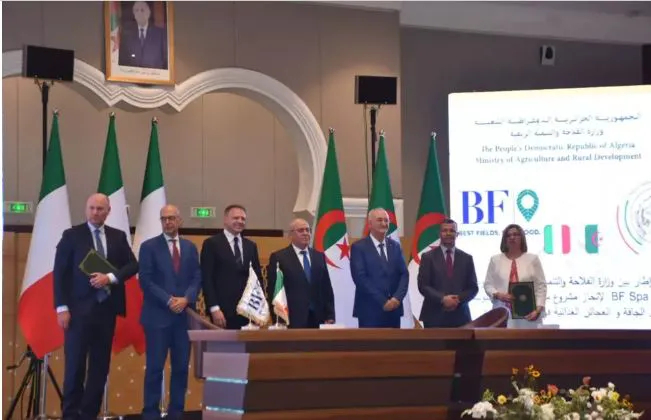 Les détails du « grand projet » d'Adrar