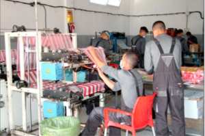 «Vers la création de 10.000 micro-entreprises et 30.000 postes d'emploi en 2024»