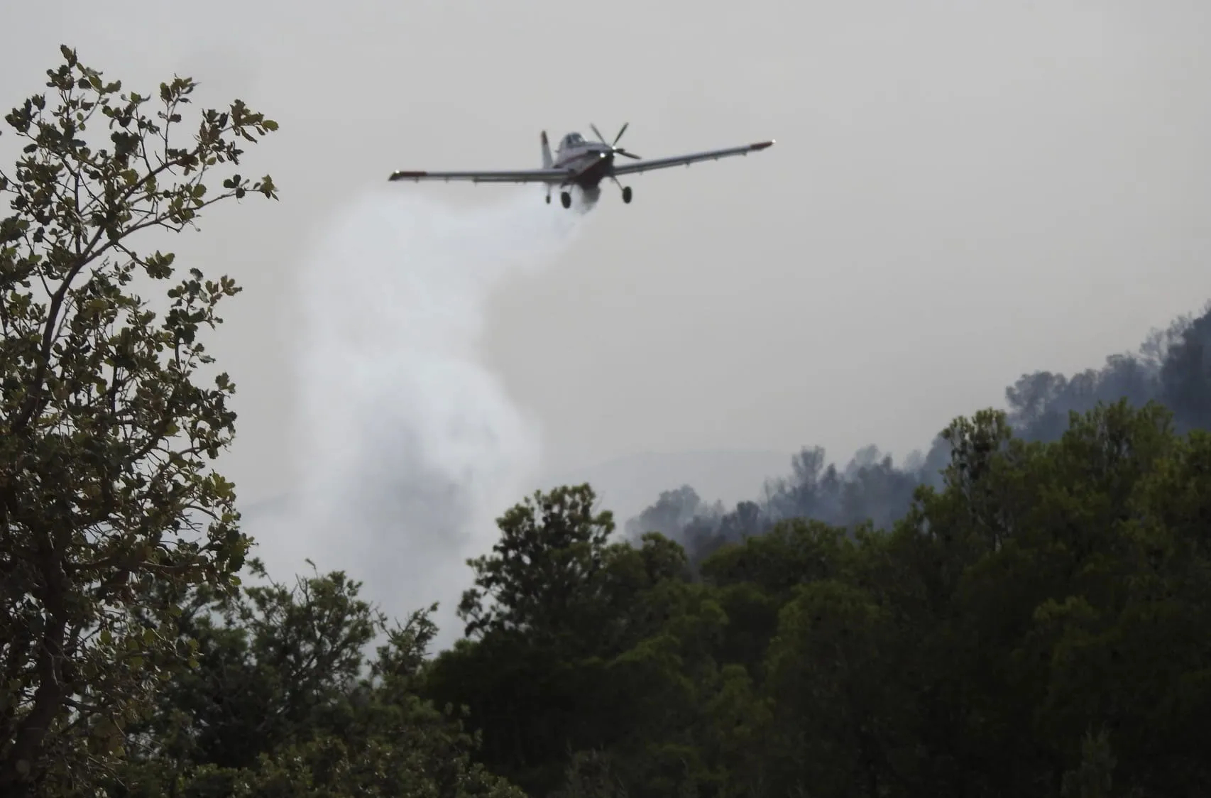 Quatre avions pour éteindre un incendie à Batna