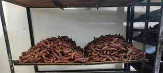 غليزان:  5 جرحى في حادث مرور بجديوية