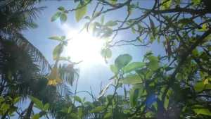 Canicule dans le nord du pays