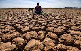 Planète (Afrique) - Maroc: Plus de 20 morts en 24 heures en raison d’une vague de chaleur