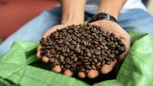 Café Pourquoi les prix ont explosé