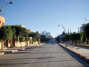 Algérie (Chlef) -  L’urgence d’un reboisement massif pour atténuer la chaleur