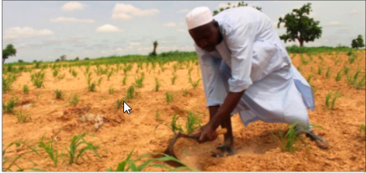 Les opérateurs doivent présenter leurs plans pour les trois prochaines saisons