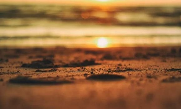 Les assaillants de la pharmacie de Bab Ezzouar condamnés à de lourdes peines