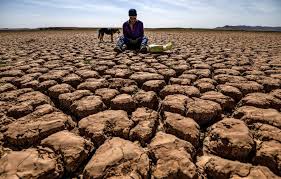 Planète (Afrique) - Maroc: Plus de 20 morts en 24 heures en raison d’une vague de chaleur