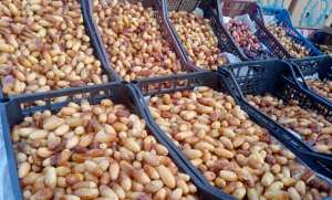 El-Meniaa: les dattes  M’naguer , une source de revenus pour de nombreuses familles