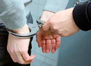 Arrestation de deux voleurs et récupération de 10 veaux