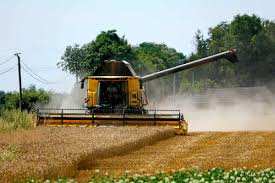 Planète (Europe) - «Catastrophique»: le président de la FNSEA s’alarme du niveau de la récolte de blé en France