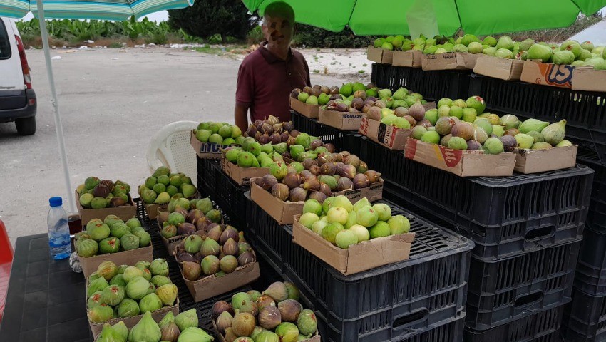 Tizi Ouzou Les figues à... 1000 DA