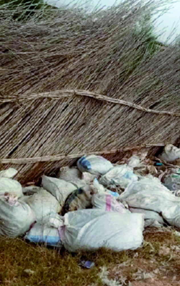 Algérie (Hassi Mamèche/Mostaganem) -  Les déchets des abattoirs clandestins nuisent à l’environnement