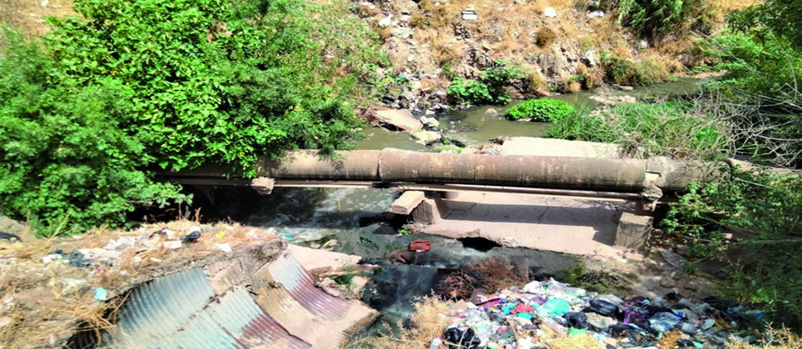 Algérie (Guelma) -  Station d’épuration des eaux usées:  Les eaux alimenteront 