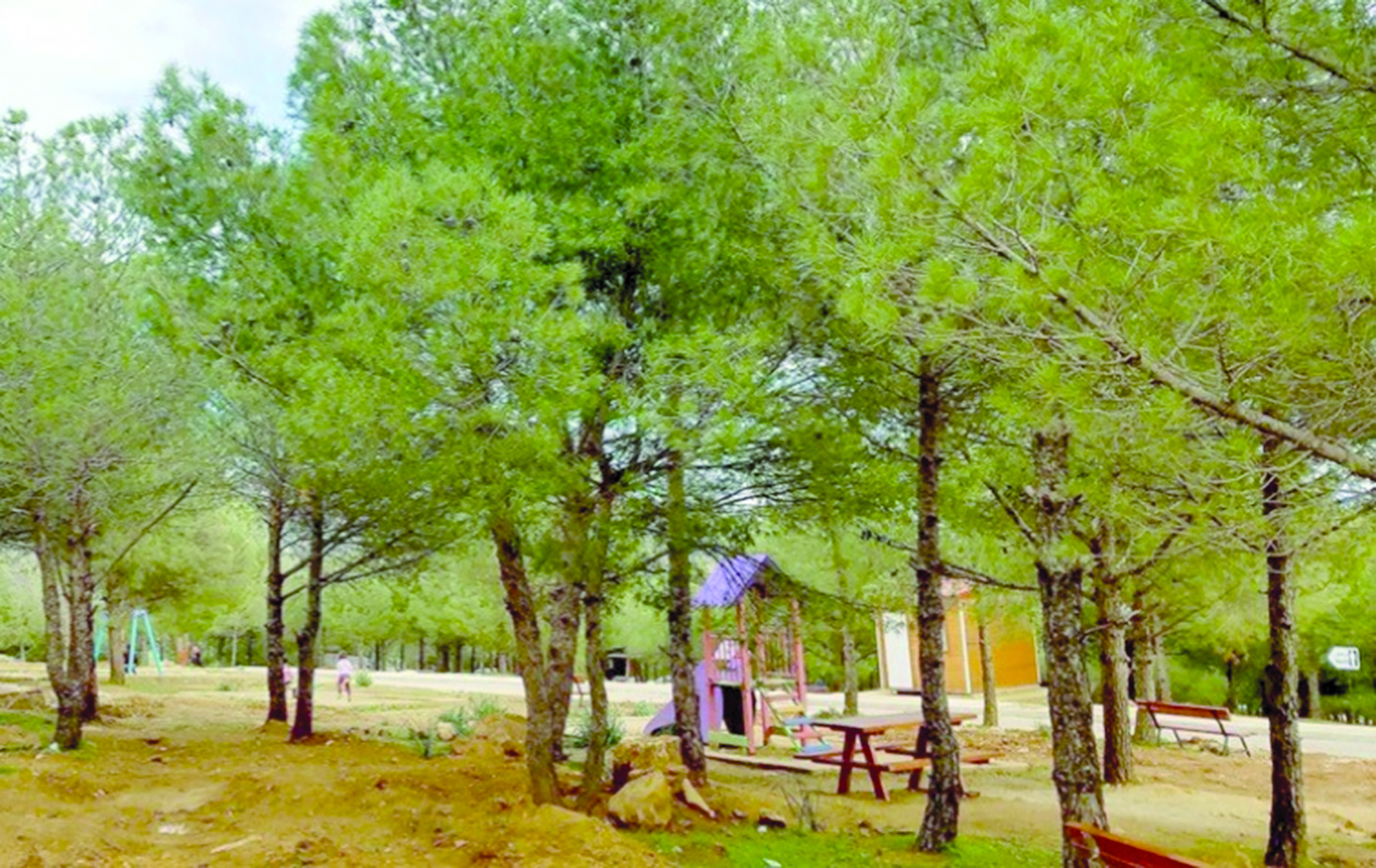 Algérie (Guelma) - Forêts récréatives: Retrait de deux autorisations d’exploitation