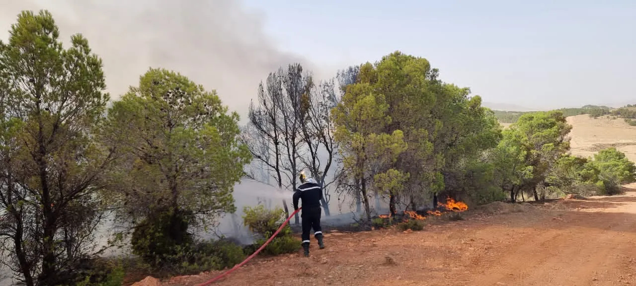 Protection civile: point sur les incendies en cours