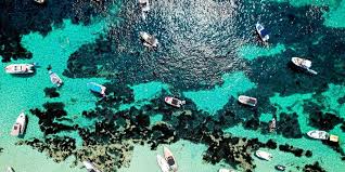 Planète - Nouveau record de température pour la mer Méditerranée