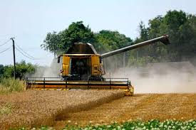 Planète (Europe) - «Catastrophique»: le président de la FNSEA s’alarme du niveau de la récolte de blé en France