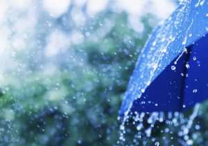 Pluies orageuses dans 16 wilayas