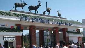 Algérie (El Aouana/Jijel) -  Record d’affluence au parc animalier de Bordj Blida