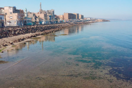 Les plages de «Mimosa» dans un piteux état