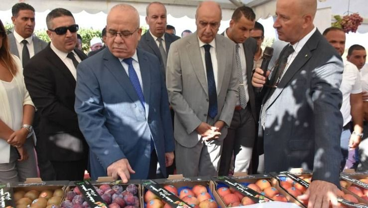 وزير الفلاحة في زيارة تفقدية لولاية تيبازة