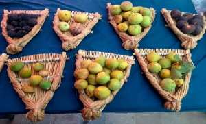 تيزي وزو: تحسين الإنتاج في صلب أهداف عيد التين بقرية لمصلى